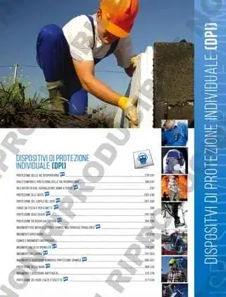 DISPOSITIVI DI PROTEZIONE INDIVIDUALE