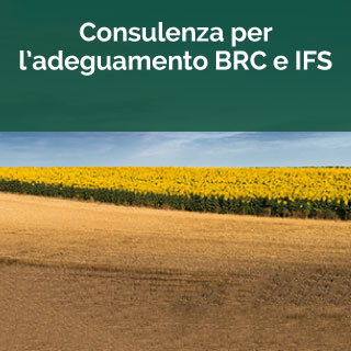 brc-ifs