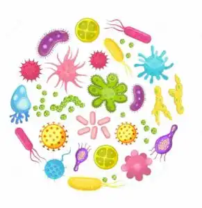 contaminazione crociata diretta alimenti