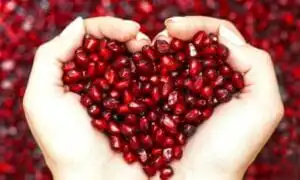 sicurezza alimentare normativa norme definizione